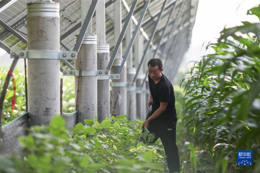 mg冰球突破网站